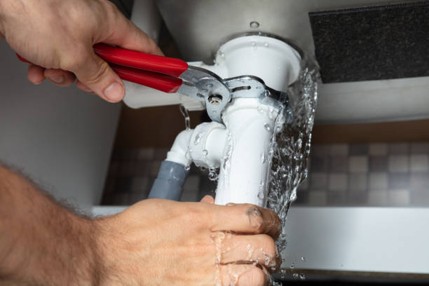 Best Water damage mitigation services  in Palmhurst, TX