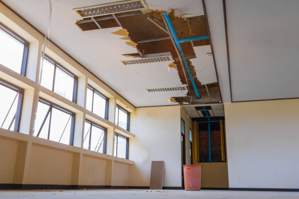 Best Carpet water damage restoration  in Palmhurst, TX