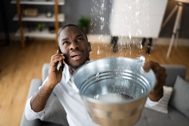 Best Emergency water extraction  in Palmhurst, TX