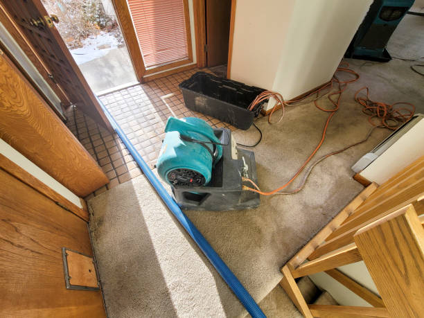 Best Flooded house restoration  in Palmhurst, TX