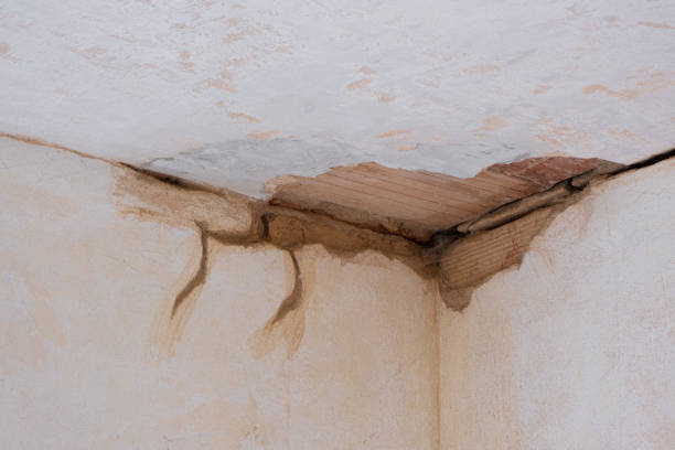 Best Flood restoration services  in Palmhurst, TX