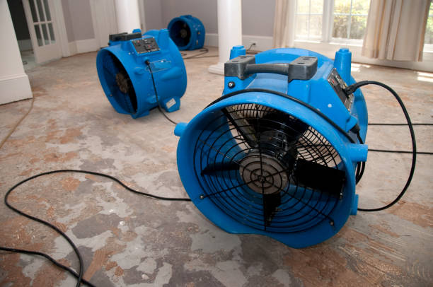 Professional Water damage restoration in Palmhurst, TX