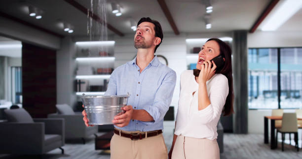Best Professional water damage repair  in Palmhurst, TX