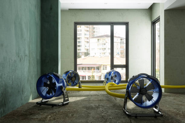 Best 24-hour water damage restoration  in Palmhurst, TX