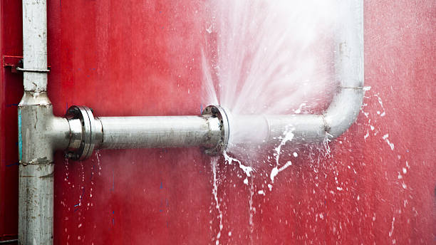 Best Water damage restoration near me  in Palmhurst, TX